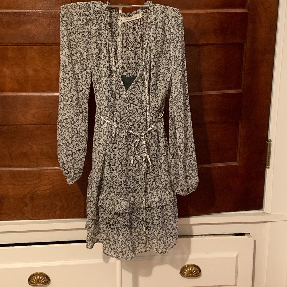 Abercrombie & Fitch sheer belted daisy dress‎ with slip lining. Worn once